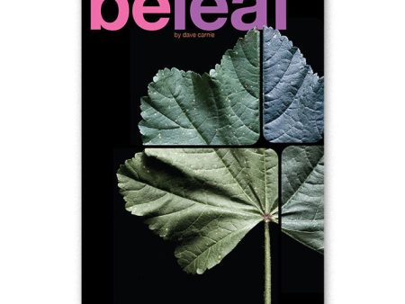 Dave Carnie   Beleaf   Zine Online now