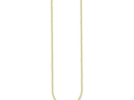 Chain in Gold Plate For Discount