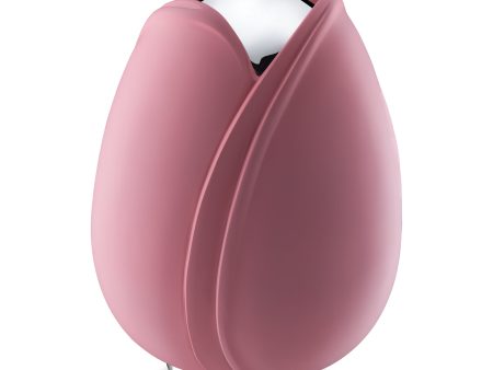 A1053   Tulip Standard Adult Urn Pink & Pol Silver For Cheap