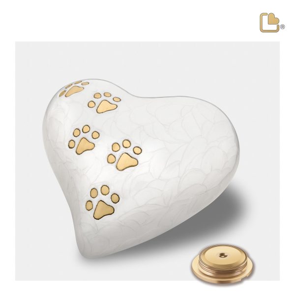 P638M   Medium Heart Pet Urn Pearl White & Bru Gold Online Sale