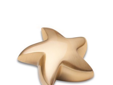 K620   Angelic Star Keepsake Urn Bru Gold Supply