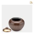 K531   Simplicity Keepsake Urn Pearl Bronze & Bru Gold on Sale