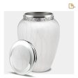 A297   Blessing Standard Adult Urn Pearl White & Pol Silver Supply