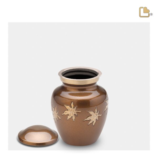 K573   Divine Autumn Leaves Keepsake Urn Bronze & Bru Gold Online Sale