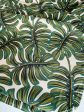 Monstera Canvas Discount