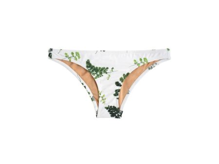 Coral Bottom | Fern For Discount