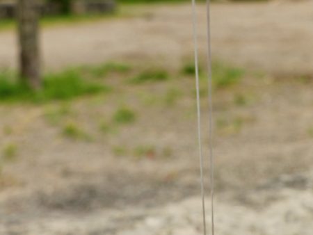 Medicine Wheel Charm Necklace - Silver Sale